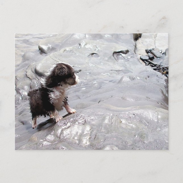 Klipp-vykort Vykort (Framsida)