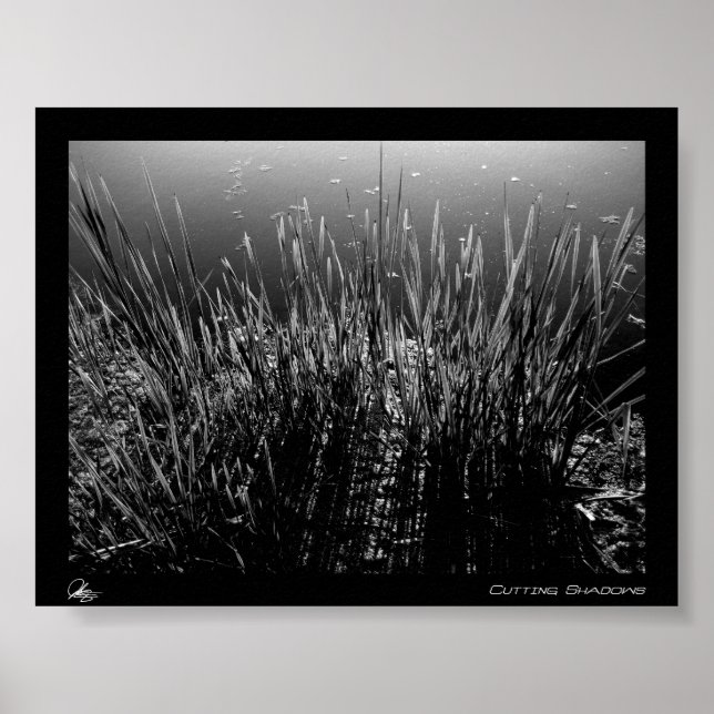 Klippa ut skuggor poster (Framsidan)