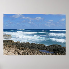 Klippig bahamansk strand, Great Abaco Island Poster