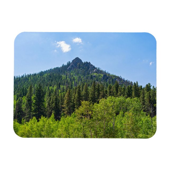 klippig bergstopp och skogsmark vid golden gate  magnet (Horisontell)