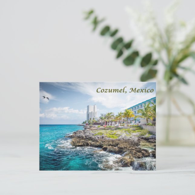 Klippig kust i Cozumel, Mexiko  Vykort (Stående Fram)