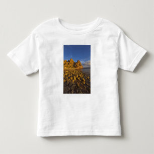 Klippig strandlinje på Isla Carmen i Mexikanska go T-shirt