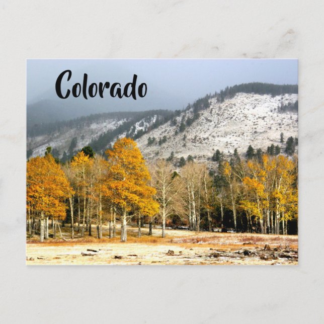 Klippiga bergen i Colorado Vykort (Framsida)
