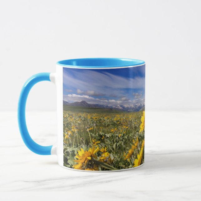 Klippiga bergens främre bergskedja mugg (Vänster)