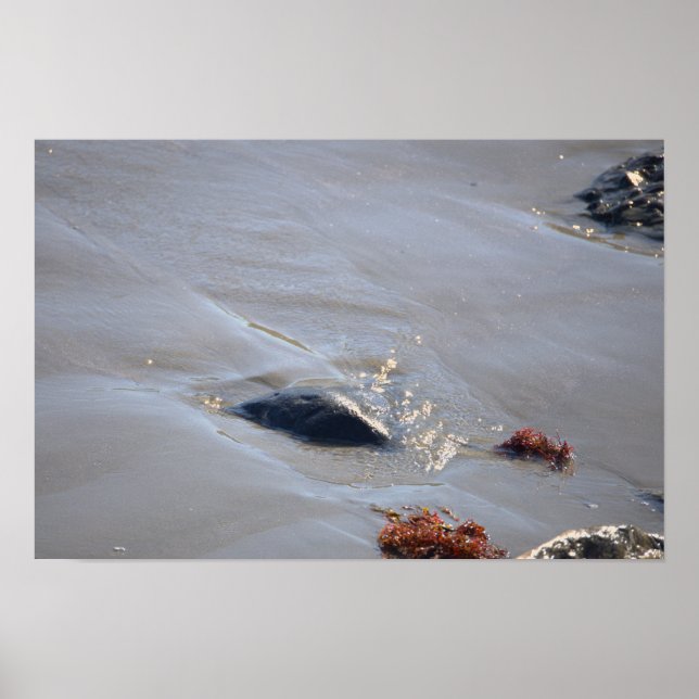 Klippor i Oceanen Affisch (Framsidan)
