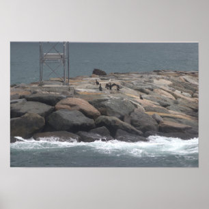Klippor med Fåglar Ocean Vattenlandskap Poster