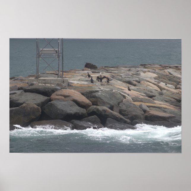 Klippor med Fåglar Ocean Vattenlandskap Poster (Framsidan)