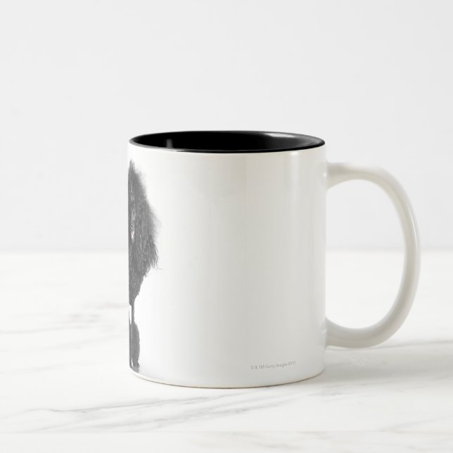Klippt svart pudel Två-Tonad mugg (Höger)