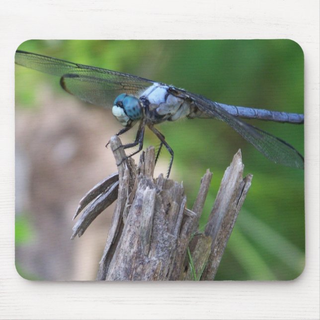 Klipsk mus musmatta (Framsidan)