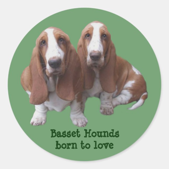 Klistermärke för Bassethundkompisar (Framsida)