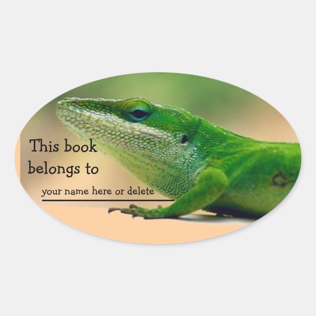 Klistermärke för ödlaälskareAnole bok (Framsida)