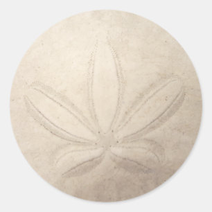 Klistermärke för runda för Sanddollar