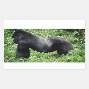 Klistermärke för Silverbackgorillafoto