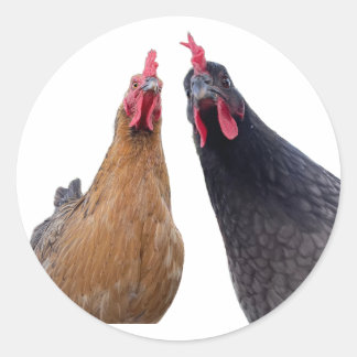 Klistermärke med Fjäderfä och Attityd
