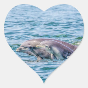 Klistermärkear för för mödrarkärlekdelfin & baby hjärtformat klistermärke