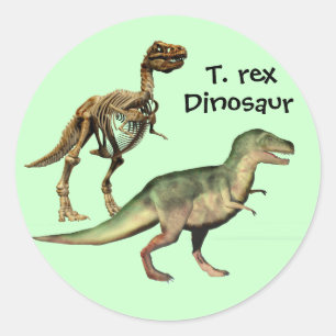 Klistermärkear för T-. rexDinosaur Runt Klistermärke