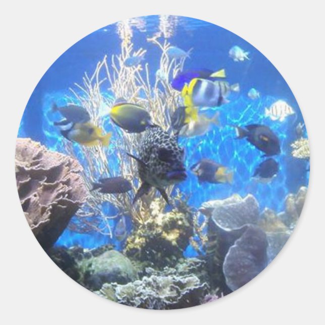 klistermärken (Framsida)