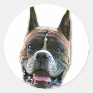 Klistermärken för hund