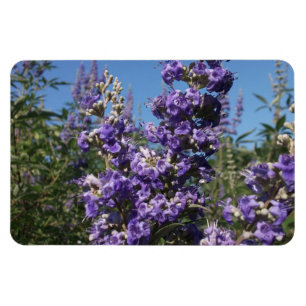 Klistra in Träd Lila blommor Magnet