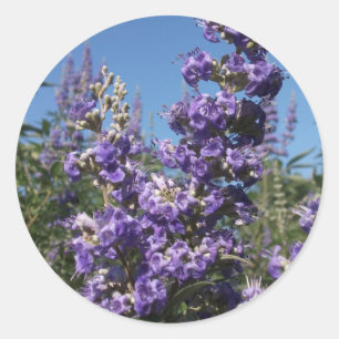 Klistra in Träd Lila blommor Runt Klistermärke