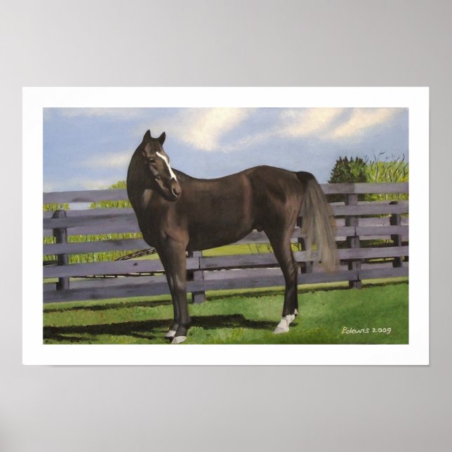 KLIVE POSTER (Framsidan)