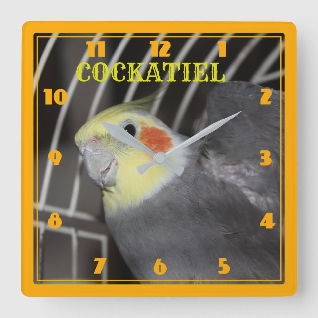 Klocka för COCKATIEL Closeup Square Clock (Framsida)