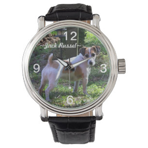 Klocka för jackRussel hund