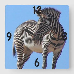 Klockan för Zebraväggen Fyrkantig Klocka