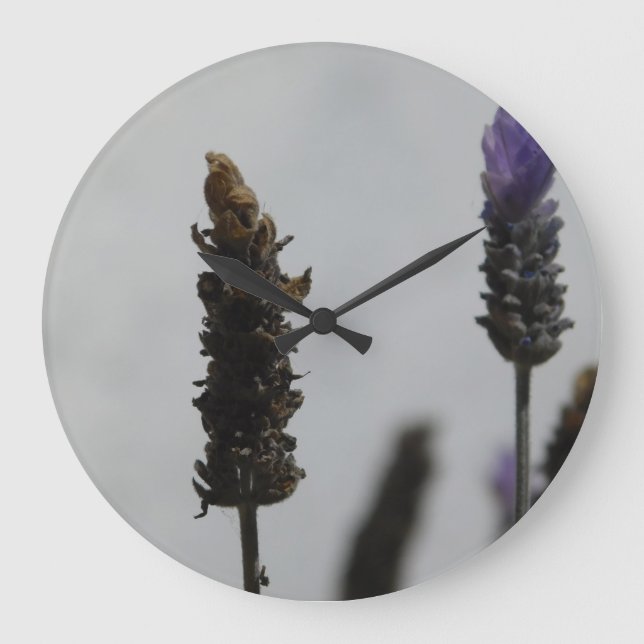 KLOCKART OCH DESIGN STOR KLOCKA (Framsida)