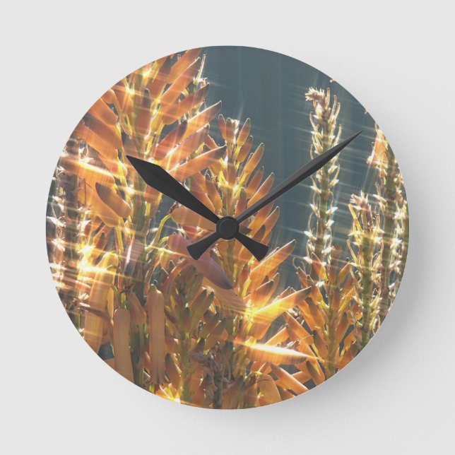 Klockera utforskaren rund klocka (Framsida)