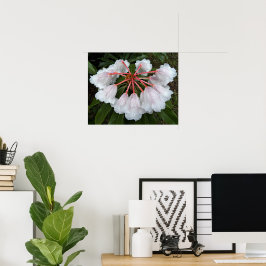 Klockformade Rhododendron Blommig Fotografisk Poster
