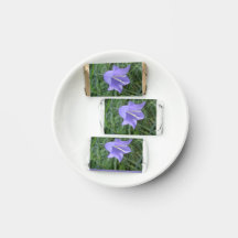 Klockmalva