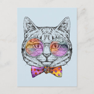 Kloka Kitty Kat Vykort