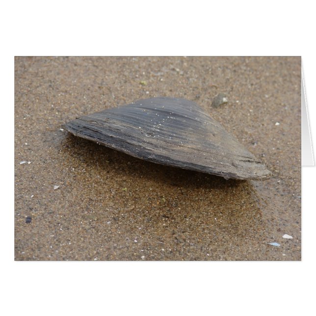 Klona inte hälsningskort (Framsidan Horizontal)