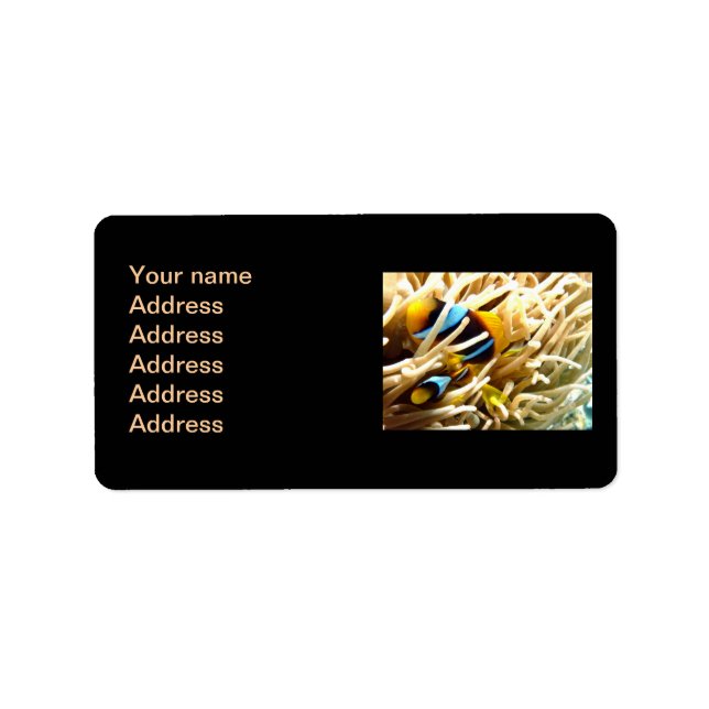 Klonad fisk adressetikett (Framsidan)