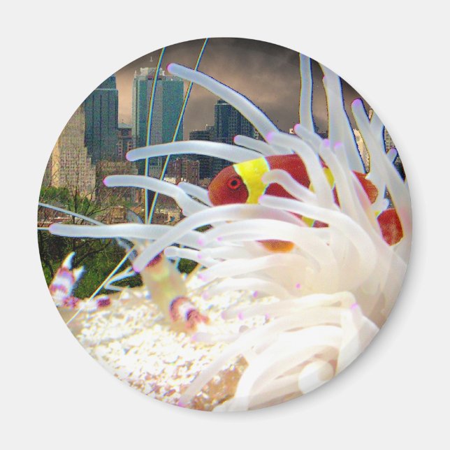 Klonad fisk magnet (Framsidan)