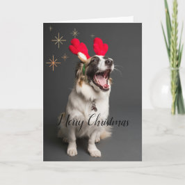 Klor & Glädje: Bedårande Hund "God Jul" Kort