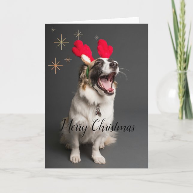Klor & Glädje: Bedårande Hund "God Jul" Kort (Framsida)