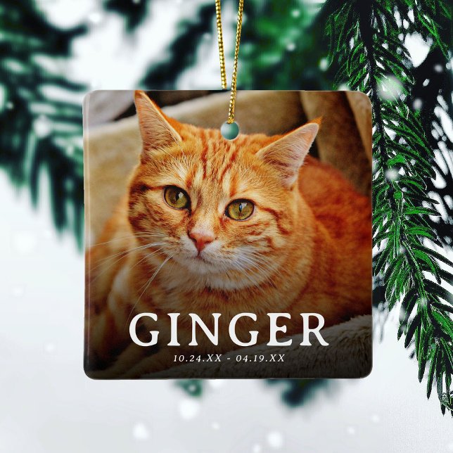 Kloravtryck på våra hjärtan Kattminne 2 Foto Julgransprydnad Keramik (Skapare uppladdad)