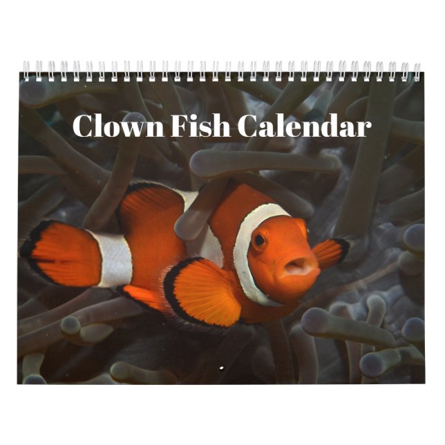 Klotfiskar 2025-kalender kalender (Omslag)