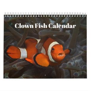 Klotfiskar 2025-kalender kalender