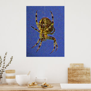 Klotspindelsaffisch Poster