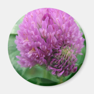 Klöver Art Magnet