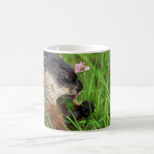 Klöver-ätande Groundhog Kaffemugg
