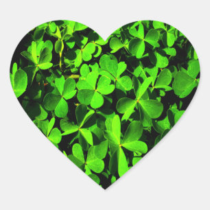 Klöver i Tur på St. Patrick's Day Hjärtformat Klistermärke