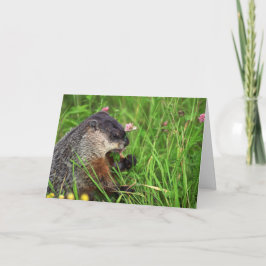 Klöver-matande Groundhog-kort Kort