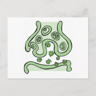 Klöver Neurotransmittorer Vykort