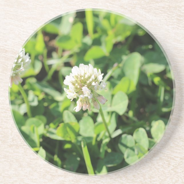 Klöver och blommor, punkt 2 underlägg (Framsidan)