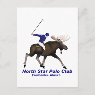 Klubben North Star Polo Vykort
