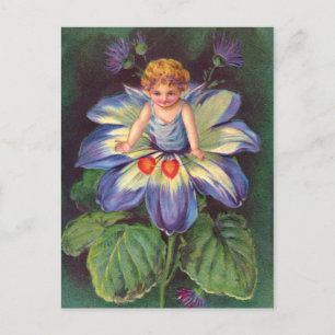 Kluffare: Flower Cherub Aster Vykort
